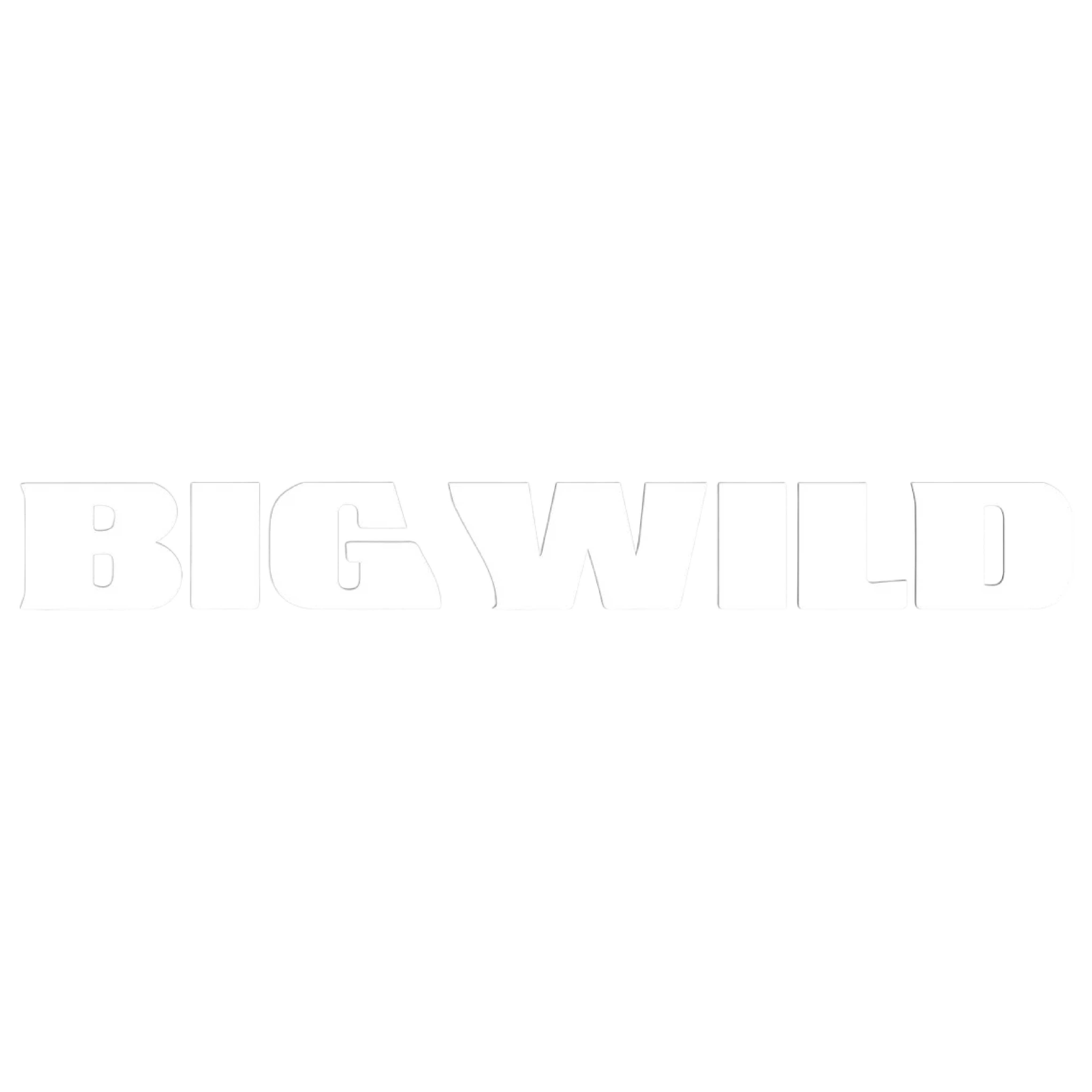 Big Wild